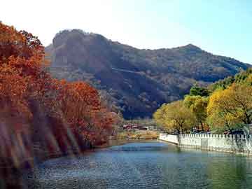 澳门天天开奖免费资料，中关村物流